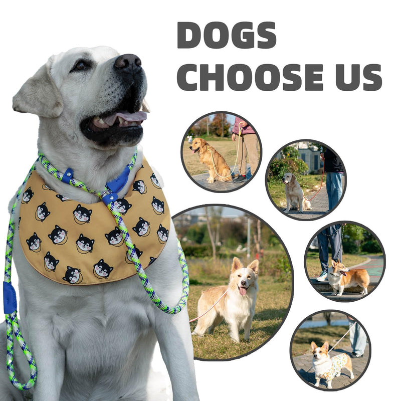 Durable Slip Leads for Dogs, Heavy Duty Strong Rope Slip Leash for Large, Medium Dogs No Pull Training Leashes (Purple and Green Alternating, 1/2" x 6 FT (30~120 lbs.)) Purple and Green Alternating 1/2" x 6 FT (30~120 lbs.) - PawsPlanet Australia