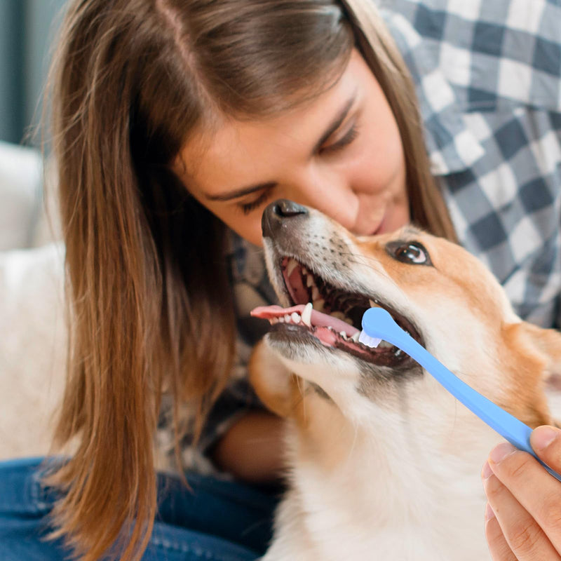 7Pcs Toothbrush for Dogs Small Breed,Round Soft Hair Small Dog Toothbrush,Dental Hygiene Pet Toothbrush to Clean Pet Teeth,Dog Tooth Brush for Small to Large Dogs, Cats, Most Pets, 7 Color - PawsPlanet Australia