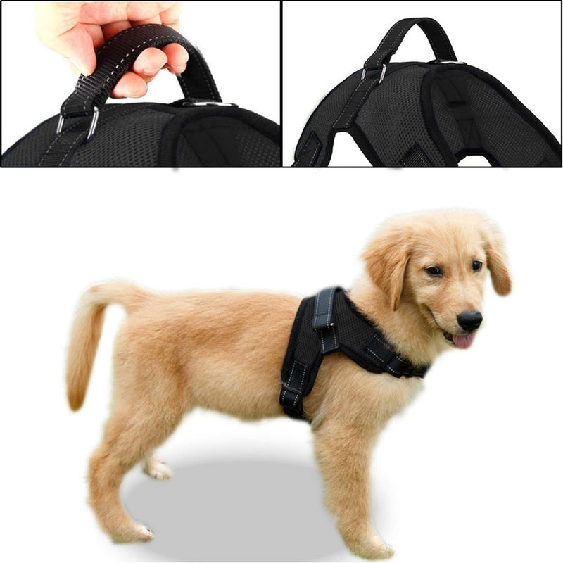 No Pull Reflective Adjustable Dog Harness with Handle- Comfortable Soft All Weather Mesh, Easy On Puppy Harness for Small Medium and Large Dogs (Black) Small Black - PawsPlanet Australia
