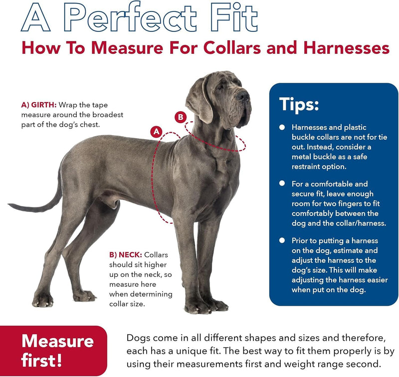 Coastal Pet K9 Explorer Reflective Adjustable Padded Dog Harness - Plush Chest Pad for Comfort - No-Pull Dog Harness for Small and Large Dogs - Rosebud - 5/8" x 16"-24", Small - PawsPlanet Australia