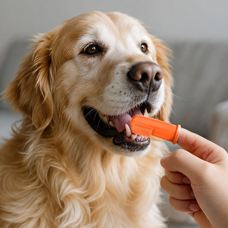 80 Pcs Finger Toothbrushes for Dogs, Food Grade Silicone Soft Pet Finger Brushes Washable Toothbrush for Small Dog Cat Easy Cleaning Dental and Oral Care(4 Colors) - PawsPlanet Australia