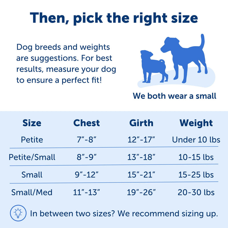 PetSafe Easy Walk No-Pull Dog Harness - The Ultimate Harness to Help Stop Pulling - Take Control & Teach Better Leash Manners - Helps Prevent Pets Pulling on Walks - Small/Medium, Royal Blue/Navy Blue