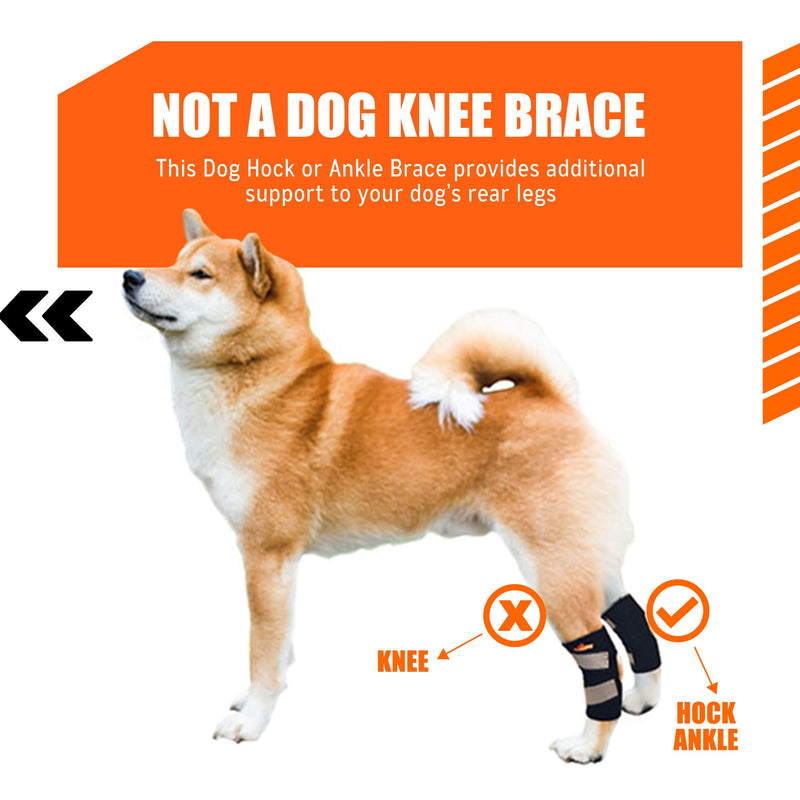 NeoAlly - Short Rear Leg Hock Brace, Dog Leg Brace for Rear Leg, Hock & Ankle Support, Dog Brace for Torn ACL & CCL, Dog Leg Sleeve with Reflective Straps, Small, Black, 1 Pair Small (1 Pair)