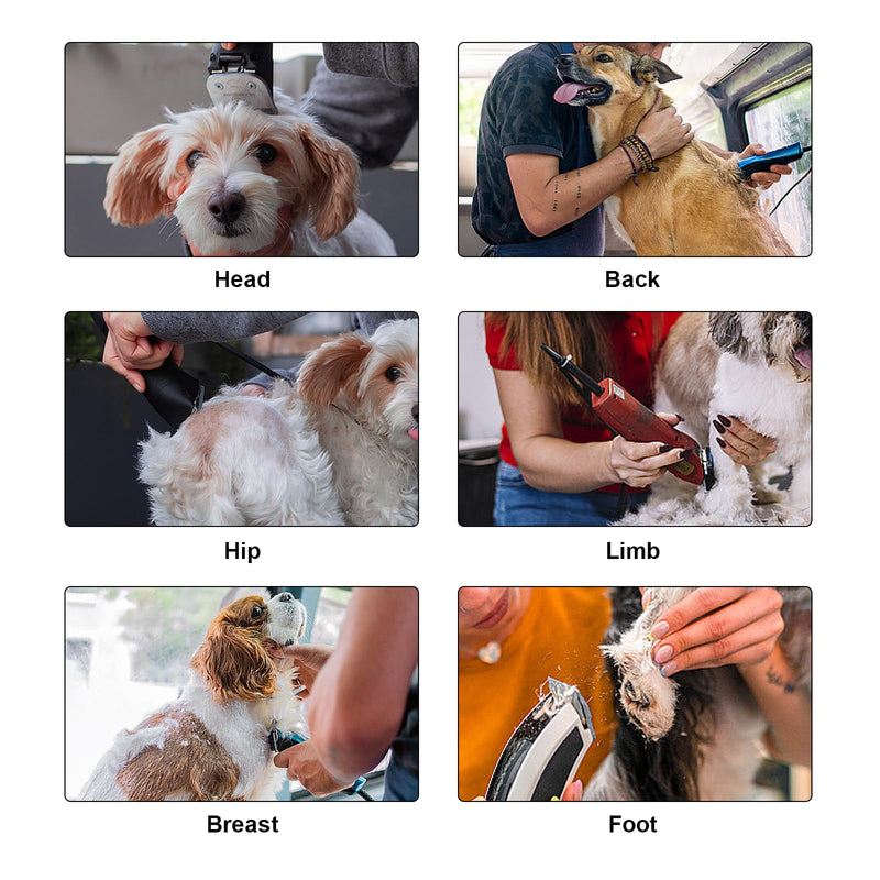 Detachable Pet Dog Clipper Blades, Compatible with Size-7FC Cut Length 1/8"(3.2mm), Most Oster A5, KM Series Clippers,Made of Stainless Steel Blade 1Pack 7FC1P - PawsPlanet Australia