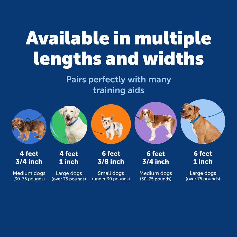 PetSafe Nylon Leash - Helps Maintain Secure Connection on Walks - Durable Pet Leash with Easy Clip - 1 in. x 4 ft. - Red 1 Count (Pack of 1) - PawsPlanet Australia