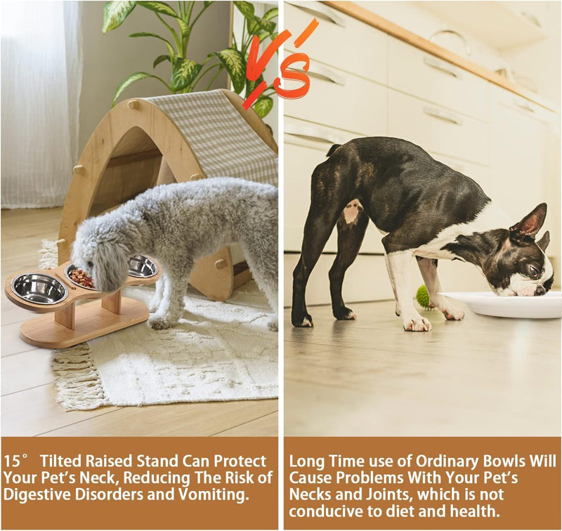 Elevated Cat Bowls Raised Cat Food Bowls, 15° Tilted Pet Bowls for Cats Puppy Small Dogs, Raised Dog Bowl Stand Feeder Adjustable Dog Cat Food Water Bowls Stand with 3 Stainless Steel Bowls - PawsPlanet Australia