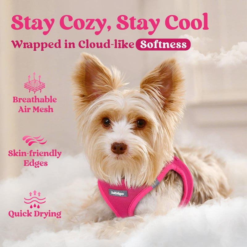 rabbitgoo Small Dog Harness, Step-in Soft Mesh Puppy Vest with Safety Buckle, Breathable Reflective Pet Harness for Small Sized Dogs, Rose Red S S(Chest:15.1"-16.5") - PawsPlanet Australia