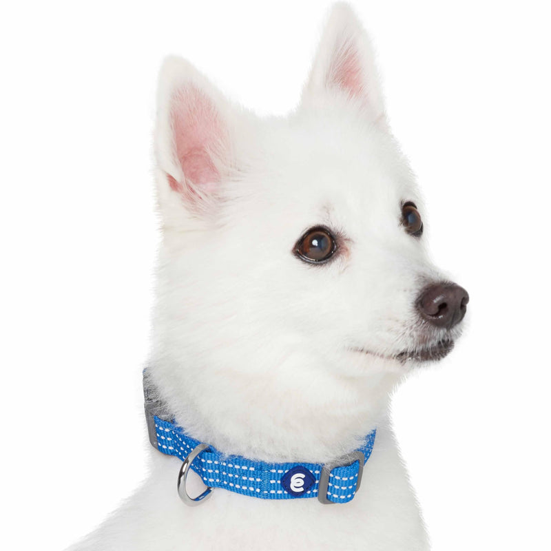 Blueberry Pet Essentials Reflective Better Basics Matching Dog Collar and Leash Set in French Blue, Adjustable Collar with 5 ft Leash for Small Dogs French Blue - Collar + Leash - PawsPlanet Australia