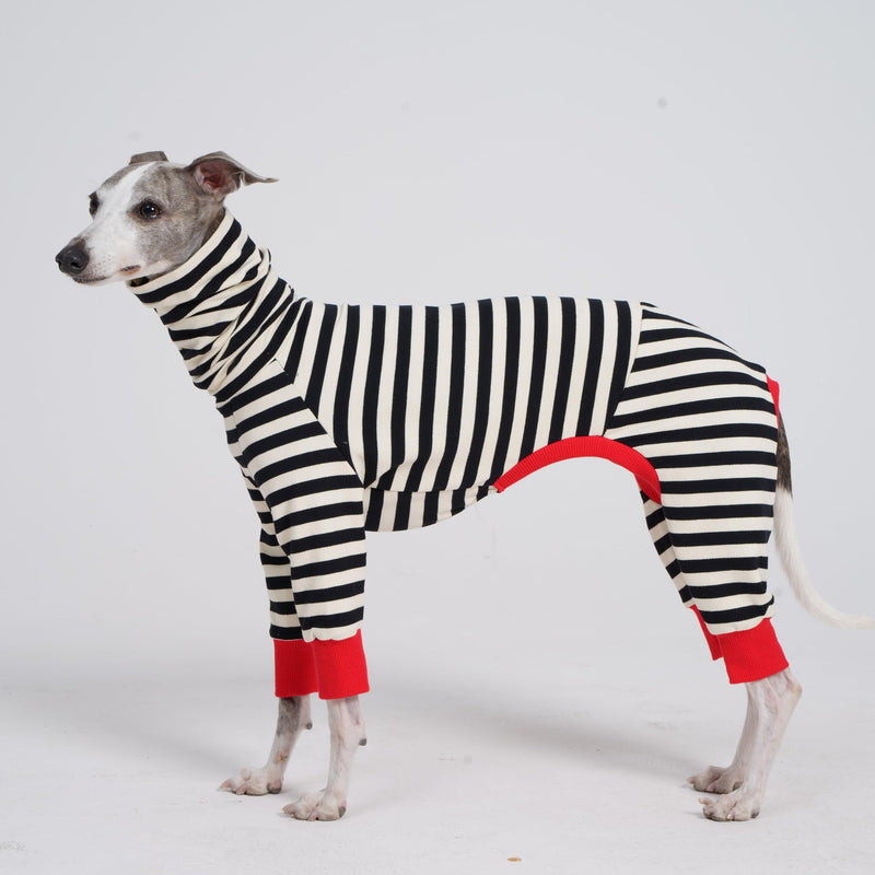 Italian Greyhound Onesie Clothes, Turtleneck Striped Shirt for Whippets Puppy, Light and Thin Shirt for Spring and Summer (Small) Small - PawsPlanet Australia