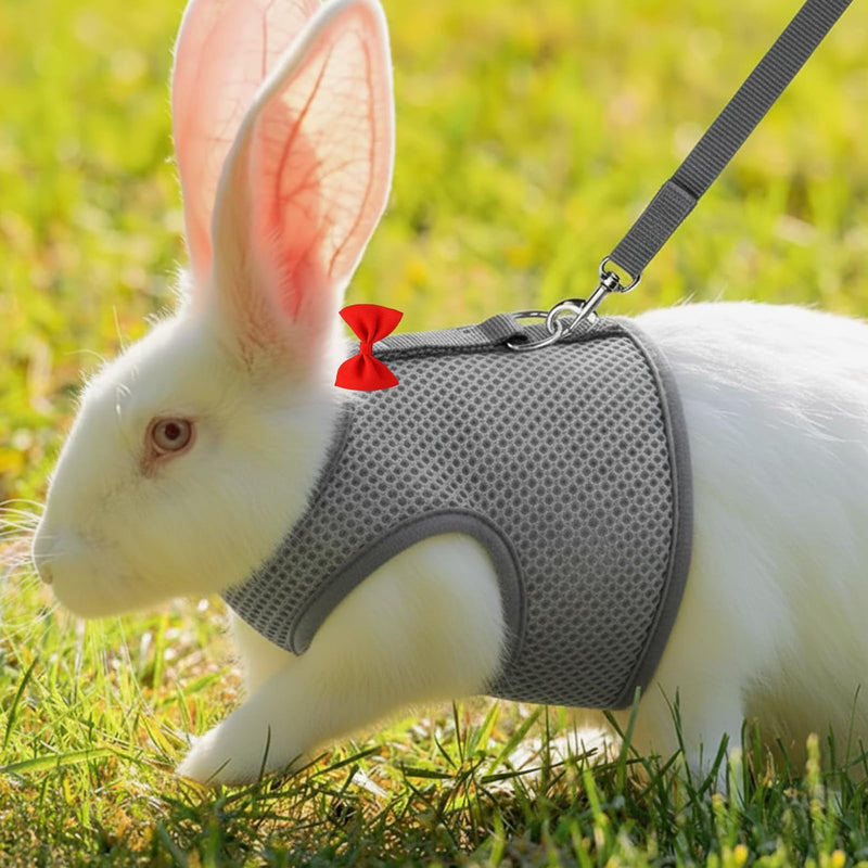 2 Set of Bunny Harness and Leash(Size M),Adjustable Bunny Leash for Small Pets. This Complete Rabbit Harness and Leash Set Features Soft Mesh Vests for Safe Outdoor Adventures.