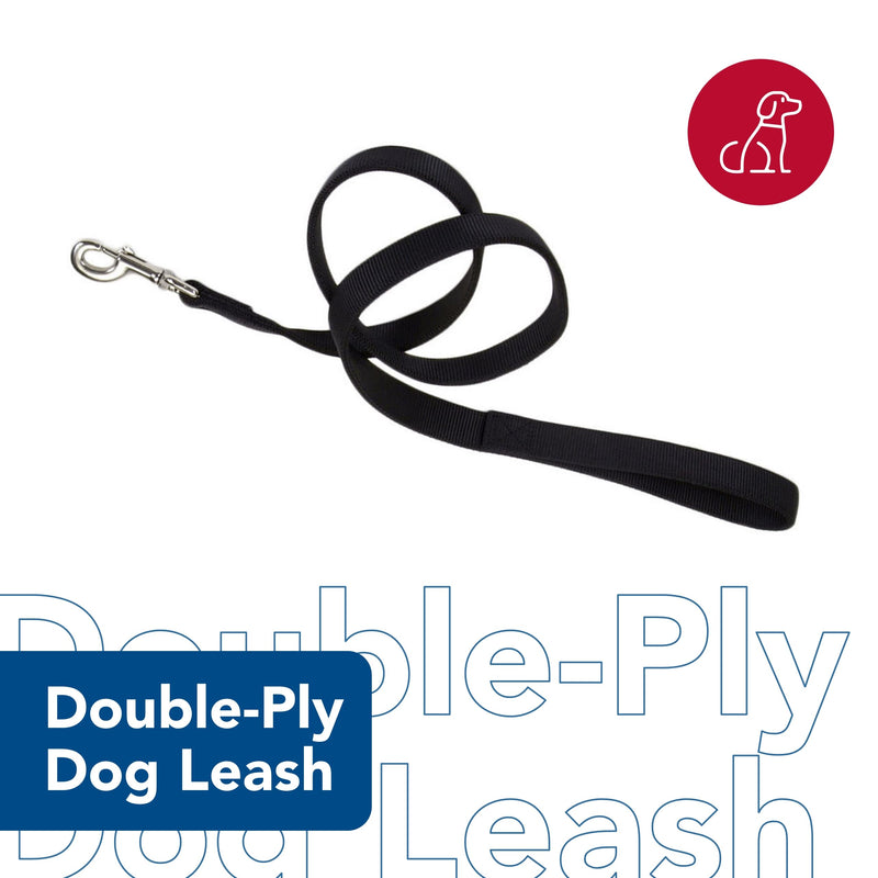 Coastal Pet Double-Ply Dog Leash - Bolt Snap Attachment to Collars and Harnesses - Nylon Dog Walking Leash for Small, Medium and Large Dogs - Teal - 1" x 6' 1" x 6' (Pack of 1) - PawsPlanet Australia