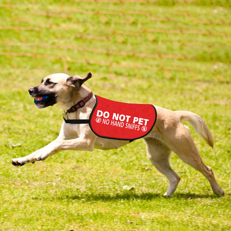 JXGZSO Nervous Anxious Dog Slogan Warning Vest Do Not Pet No Hand Sniffs Dog Jacket Vest (No hand sniffs L) No hand sniffs L - PawsPlanet Australia