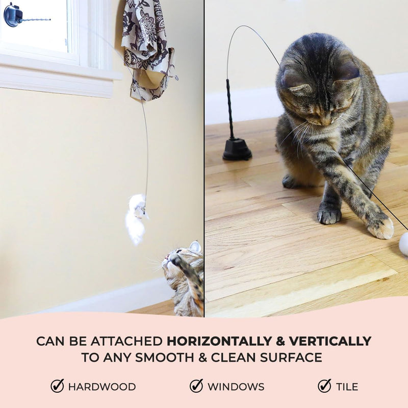 Interactive Bird Simulation Cat Toy Set, Interactive Cat Toys for Indoor Cats, Cat Feather Toy, Self-Holding Suction Base, 5 Replacement Birds, Feathers & Bells, Realistic Bird Impression Bird Toy Set With 5 Birds - PawsPlanet Australia