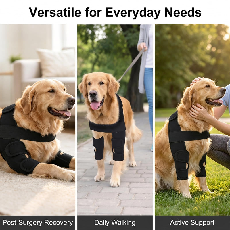 Dog Double Front Leg Braces, Breathable Canine Front Leg Support Wrap, Adjustable Dog Knee Brace for Joint Injury, Arthritis, Post Surgery Recovery, Outdoor Walking Protection, Black S Size