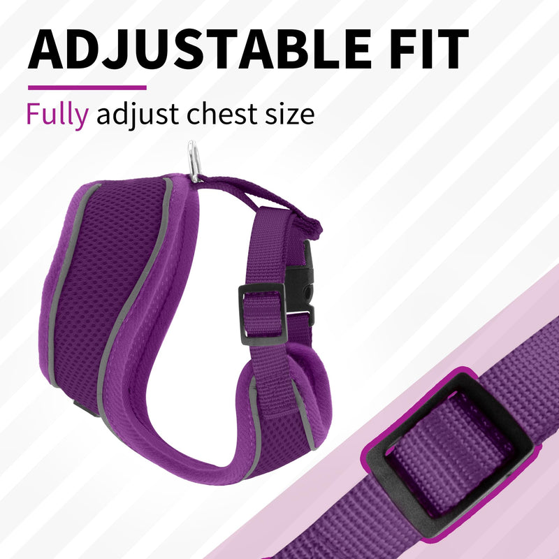 AIITLE Small Dog Harness, Triple-Layer Breathable Mesh, Adjustable Fit & Reflective Design, Choke-Free Over-The-Head Vest for Indoor/Outdoor Use, Perfect for Maltese, Chihuahua (S, Purple) S - PawsPlanet Australia