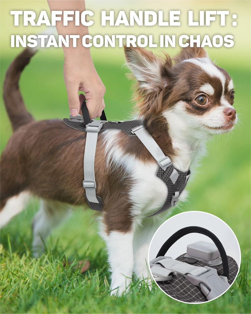 TagME No Pull Dog Harness with 2 Leash Clips,Lightweight & Visible for All-Day Walking, No Choke Pet Vest Includes AirTag Holder for Puppy,Black Dark Gray Extra Small - PawsPlanet Australia