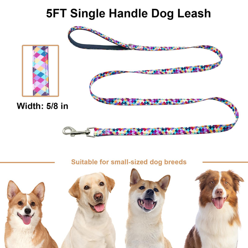 Reflective 5ft Dog Leash with Padded Handle, Soft Nylon Pet Leash with Neoprene Handle for Small Dogs, Colorful Geometric 5/8in x 5ft - Single Handle - PawsPlanet Australia