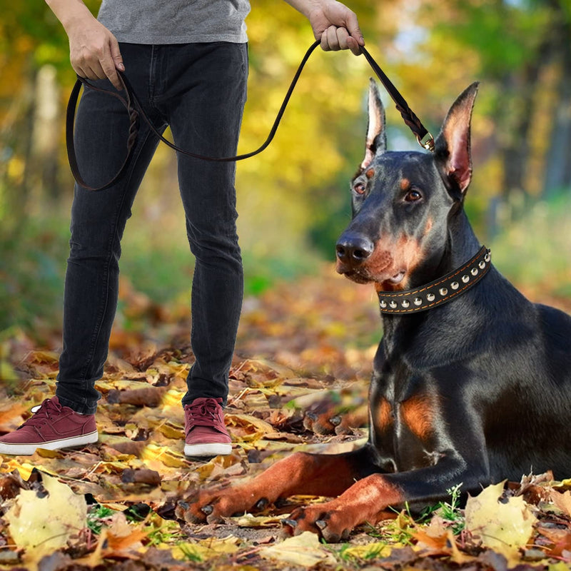 LWBMG Leather Dog Leash - 6ft x 1 inch, Heavy Duty, Braided, Comfortable for Large, Medium & Small Dogs 6 ft x 1 inch Brown - PawsPlanet Australia
