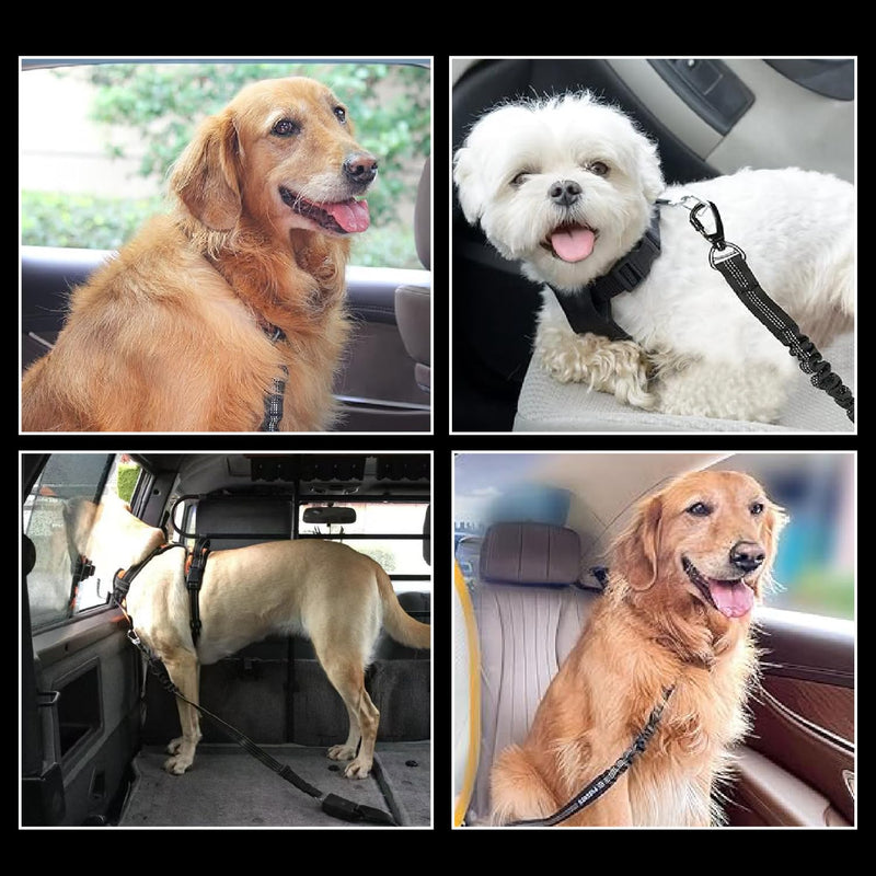 Dog seat Belt for car,2Pack 3-in-1 car Harness for Dogs Safety seat Belt Bungee,Dogs Seats Belt stether with Buckle&Hook Latch,Adjustable Reflective Dog seat Belts with 360° Lockable Buckle(Black) - PawsPlanet Australia