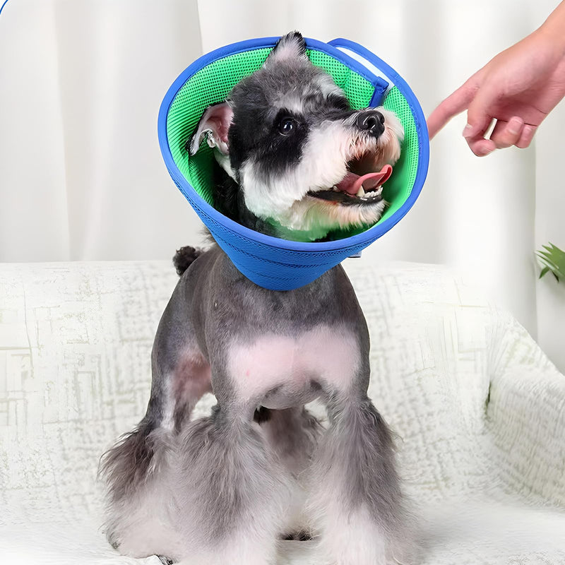 Dog Collar Soft, Breathable Mesh - Dog Collar, Lick Protection Collar Dog, Pet Elizabethan Collar (L, Green & Blue)