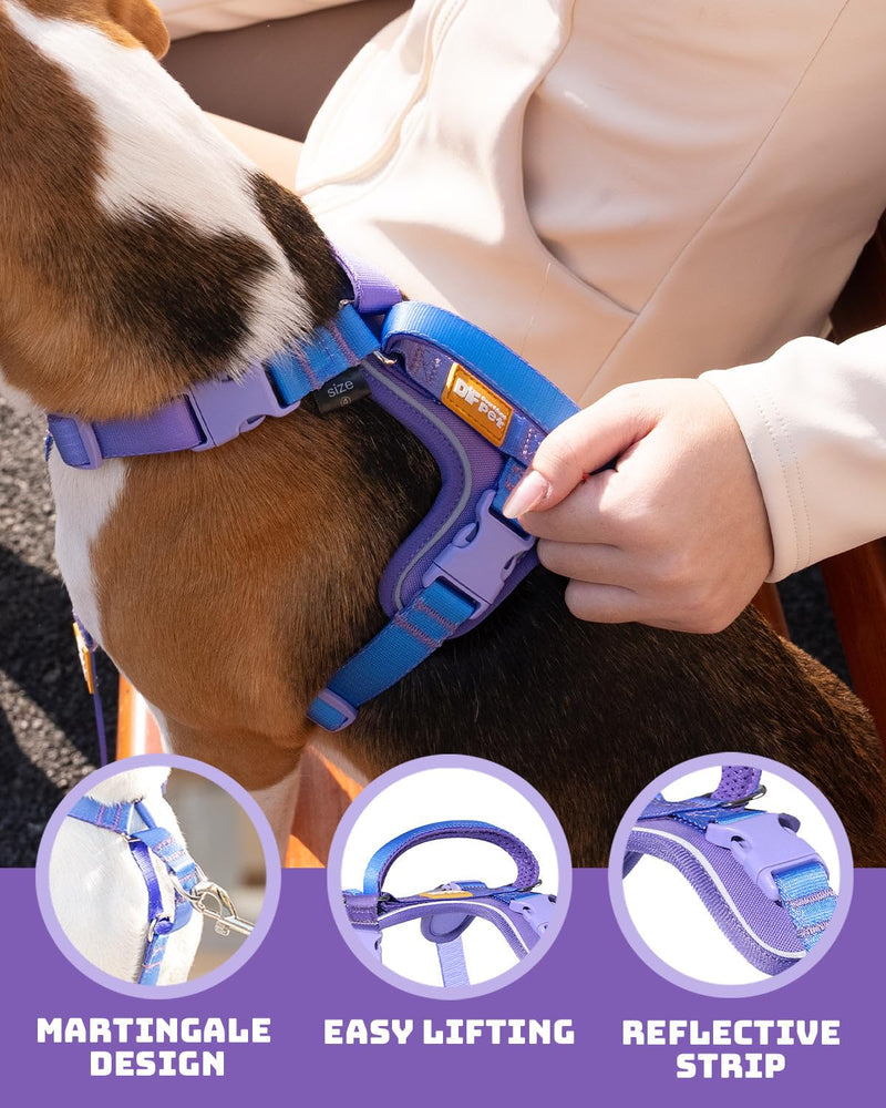DF Freedom No Pull Martingale Dog Harness and Leash Set, Front Clip Adjustable Harness with Reflective & Padded Handle, Easy Walking & Training, Rainbow, 1", Chest 24.4" - 32.4" 1" (Chest 24.4" - 32.4") Rainbow Pro - PawsPlanet Australia