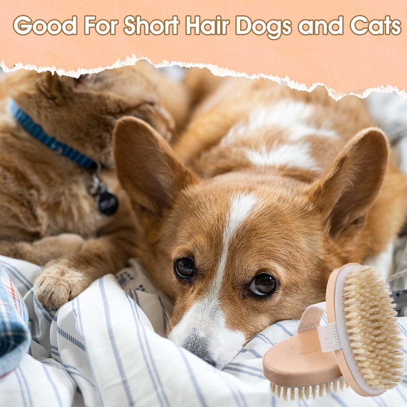 Soft Boar Bristle Pet Brush, Ergonomic Dog Brush Reduces Shedding, Ideal for Daily Gentle Grooming Natural Palm Brushes for Short Haired Dogs & Cats with Non-Slip Band - PawsPlanet Australia