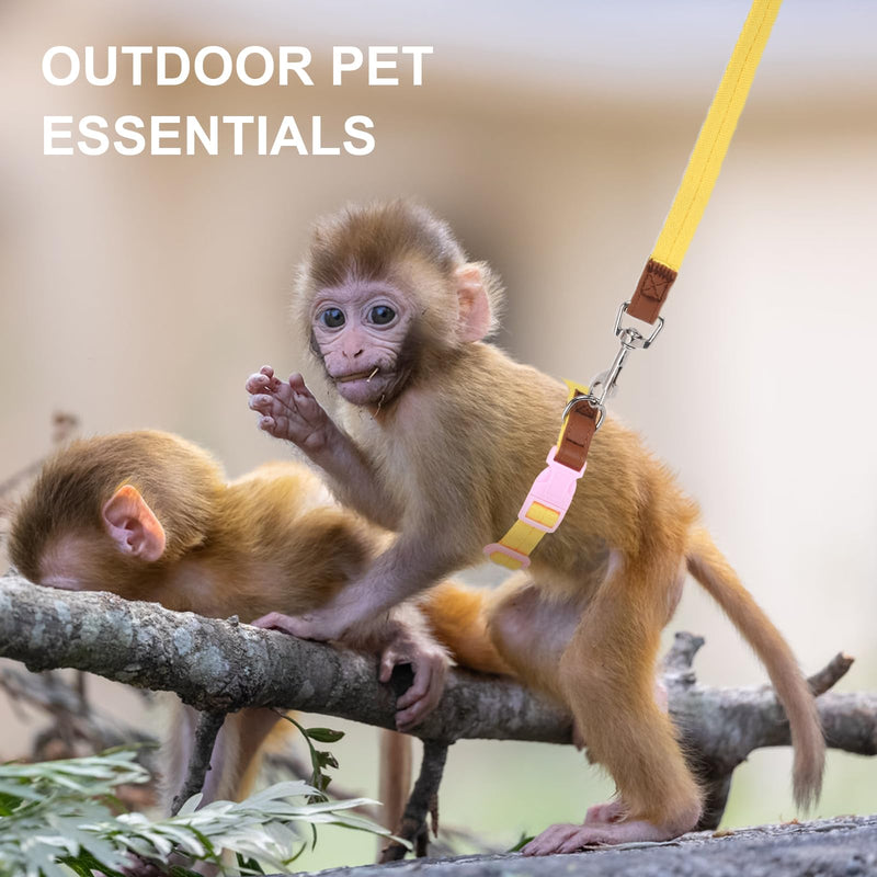 Mini Monkey Leash, Adjustable Monkey Strap with Belly Bands and Matching Leash for Marmoset Monkey, Maximum Dimension 5.7 Inches for Monkey, Comfortable and Durable - PawsPlanet Australia
