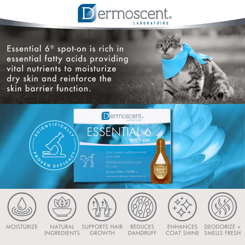 Essential 6 spot-on for Cats - Skin Care for Dandruff Dry or Oily Skin & Hair Loss - Natural Essential Oils & Fatty Acids - Healthy Skin & Coat - 4 Pipettes of 0.6 ml / 0.08 fl. oz