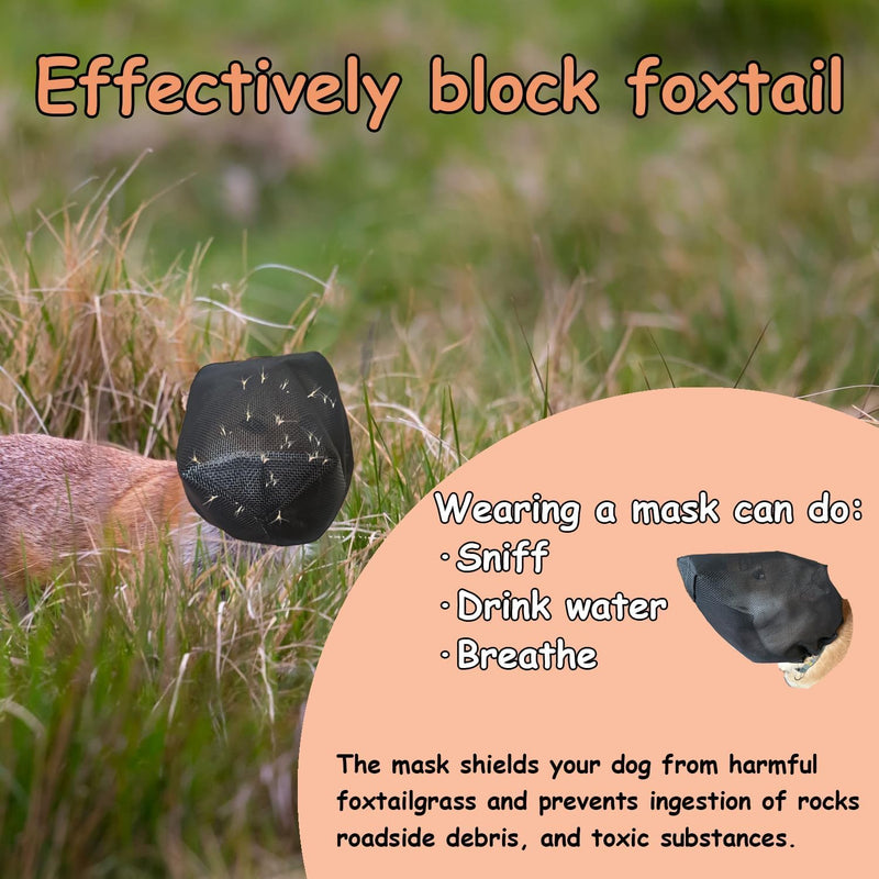 M Size Foxtail Mask for Dogs, Dog Foxtail Protection, Dog Ear Protection - PawsPlanet Australia
