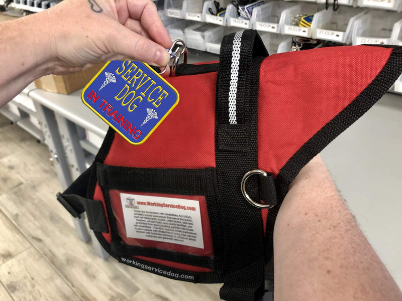 Service Dog in Training Clip-On ID Patch Tag - Includes 5 Federal Law Handout Cards - Clips to Vest, Harness, Collar, Leash, or Carrier - PawsPlanet Australia