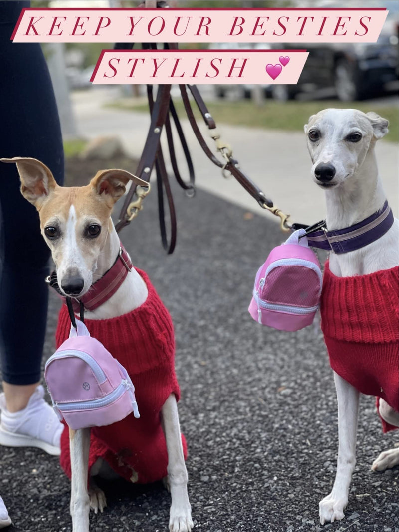 LLC Dog Backpack, Cat Backpack, Small Carrier | Clip on Harness or Leash, Fun Pet Treat Holder, Toy Bag, or Waste Dispenser | Dog Treat Training Pouch (Pretty in Pink) - PawsPlanet Australia