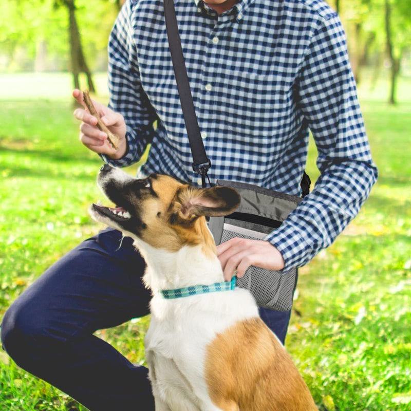 BESTHLS Small Dog Toy Ball & Dog Treat Pouch for Training for Puppy Small Medium Pet Dogs Include 16pcs Soft Tennis Rubber Balls and Multiple Pockets Treating Bag Ball-D - PawsPlanet Australia