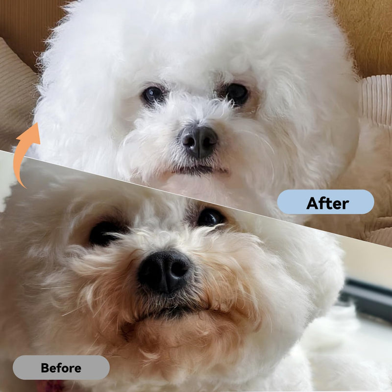 2 Pack Professional Pets Eye Combs,Pets Grooming Comb Kit,Stainless Steel Tear Stain Remover for Cats & Dogs,Flea Lice Comb,Gentle Curved Comb Teeth,Precisely Removes Stains (2pcs eye combs) 2pcs eye combs