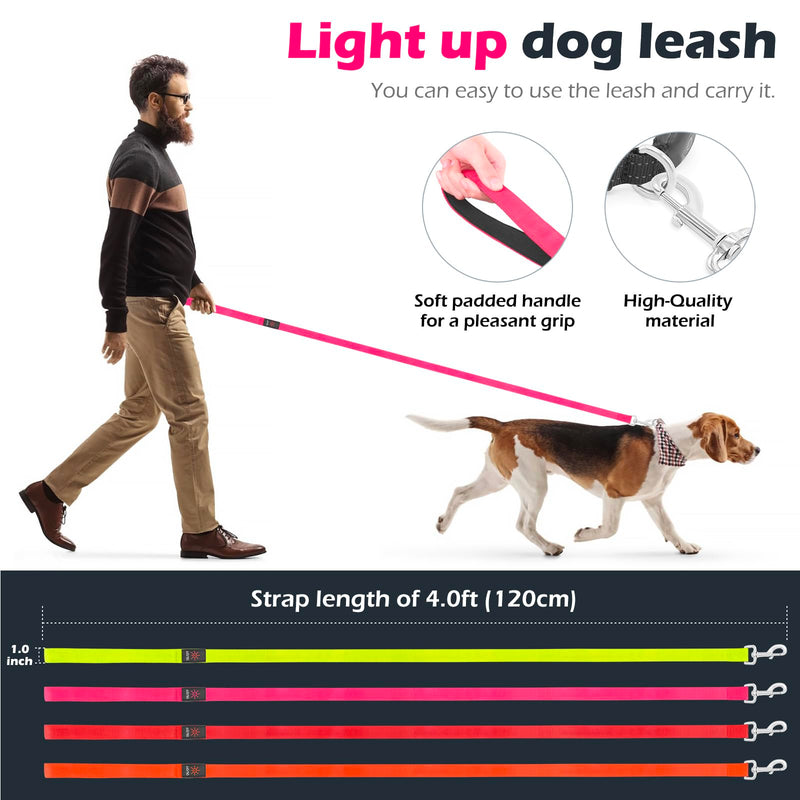 LED Dog Leash with Light - 4 Feet, Rechargeable, Nylon Webbing, Glow Safety Standard Dog Leash (Pink) Pink - PawsPlanet Australia