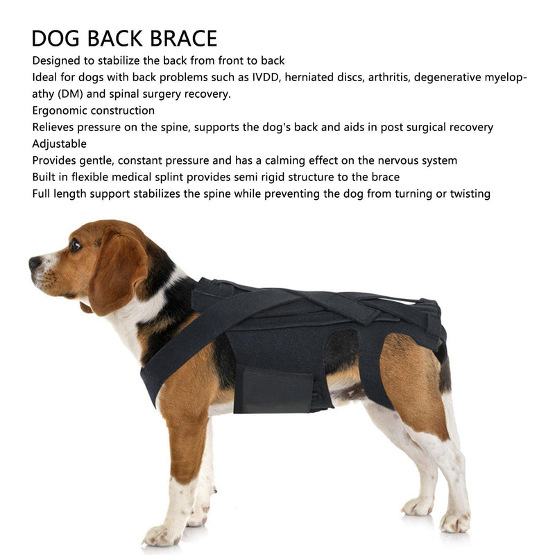 Asixxsix Dog Back Brace for Dogs Arthritis, Pet Back Bracer for IVDD, Back Protector Helps Pain Relief, Surgical Recovery and Rehabilitation, Dogs Back Disease Prevention (L)