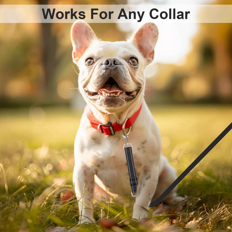 2Pcs Dog Collar Safety Clip Adjustable Double Ended Backup Clasp Leash Connector Gentle Leader for Dogs Suitable Dog Harness Small Dogs Collar Walking Running Training Travel (Black) Black - PawsPlanet Australia