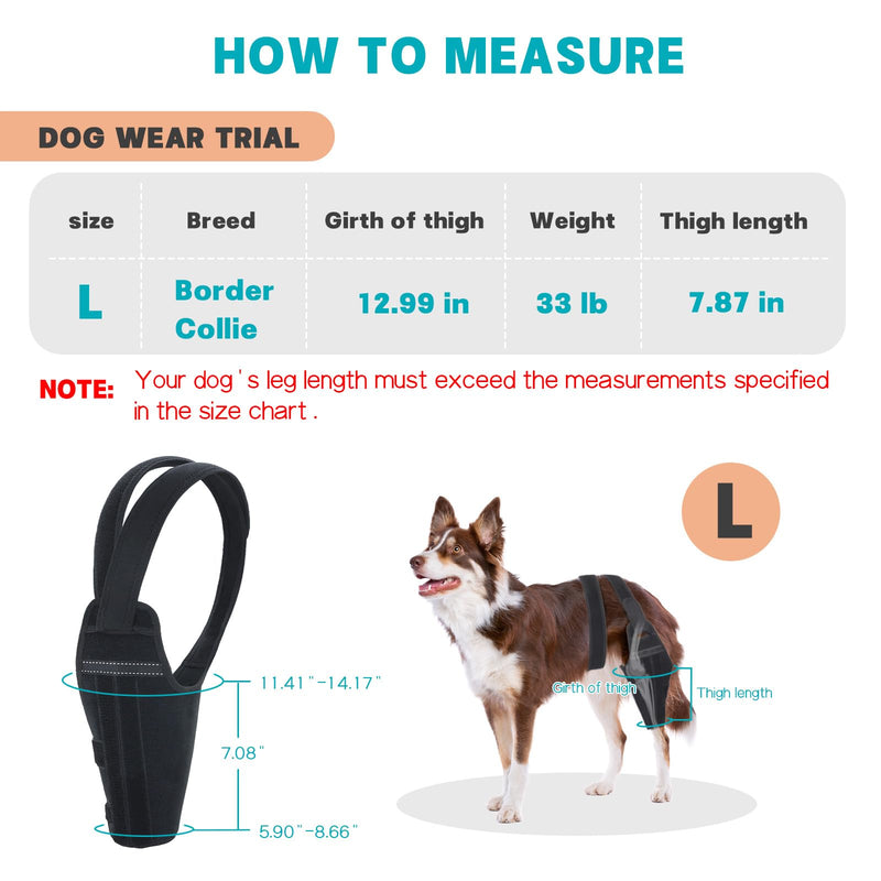 Dog Knee Brace for Torn ACL Hind Leg–Adjustable Support Dog Leg Brace for Back Leg with 2 Stabilizers, Hip Support to Reduces Pain Luxating Patella , Ligament Injuries, CCL (Black, Left Leg, L)