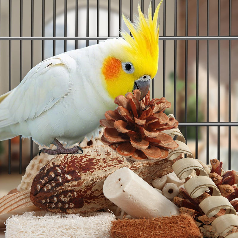 Kyouki Bird Toys Parrot Toys Natural Bird Foraging Box Foot for Parakeets,Cockatiels,Conures,Love Birds,and Other Small to Medium Birds (Medium) - PawsPlanet Australia