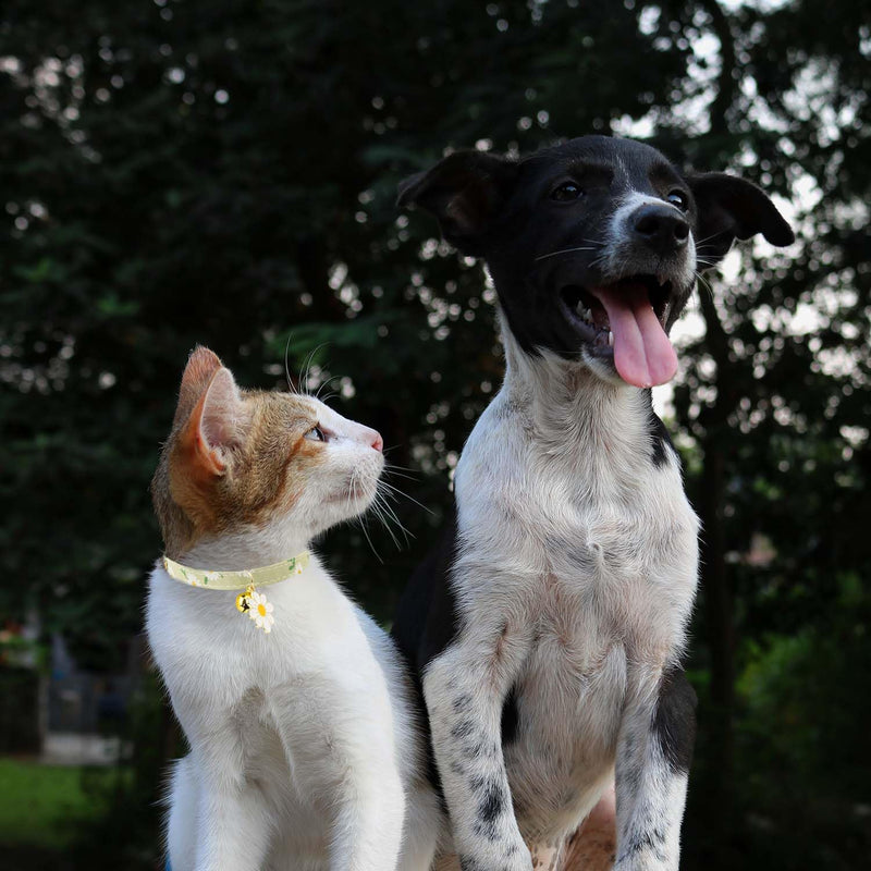 4 Pack Cotton Breakaway Cat Collar with Bell,Safety Adjustable Cat Collars Set with Flower Pendant,Ideal for Girl Cats Boy Cats Daisy - PawsPlanet Australia