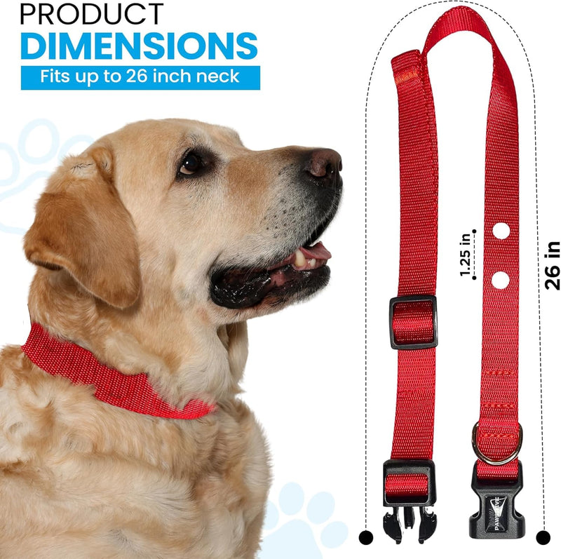 ECollar Replacement Strap, Pet Safe Collars Replacement, Shock Collar Replacement Collar, Invisible Fence Collar Replacement, Compatible with Pet Safe, Invisible Fence (Bright Blue, 3/4") 3/4" Bright Blue - PawsPlanet Australia