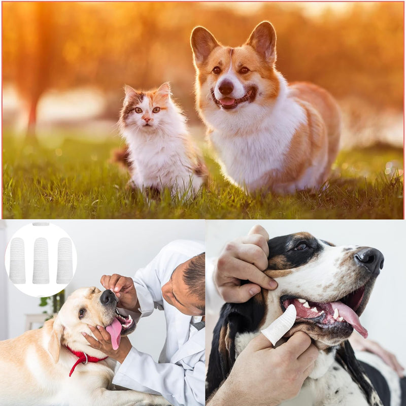 Dog Toothbrush, Pack of 20 Cat Toothbrush, Reusable Finger Toothbrush, Dog, Pet Finger Toothbrush, Nylon Pet Toothbrush for Cleaning Dogs and Cats (White)