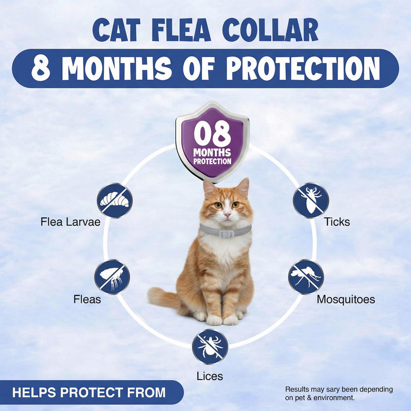 Cat Flea and Tick Collar (2 Pack) – Natural Waterproof Flea Collar for Cats & Kittens with 8 Month Protection Adjustable Cat Flea Collar Includes Tick Removal Tools & Flea Comb - PawsPlanet Australia