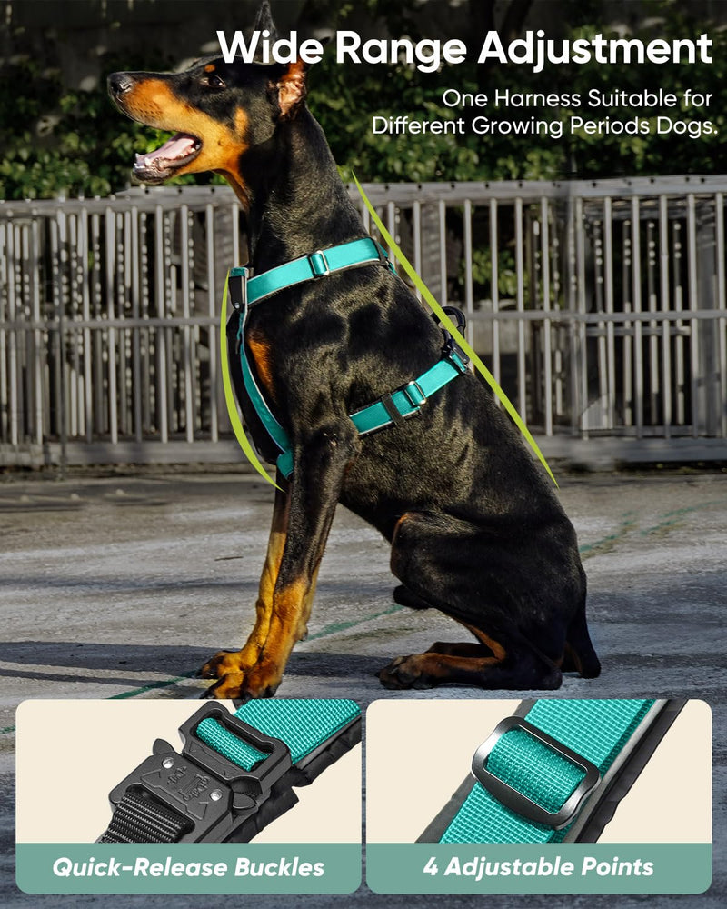 Premium Y-Shaped Dog Harness for Training & Daily Walk,No-Pull Adventure Harness with Handle & 3 Leash Hook Points,Durable Nylon (Turquoise, M (Neck 48-74cm, Chest 58-81cm)) Turquoise M (Neck 19″ - 27″, Chest 24″ - 30″) - PawsPlanet Australia