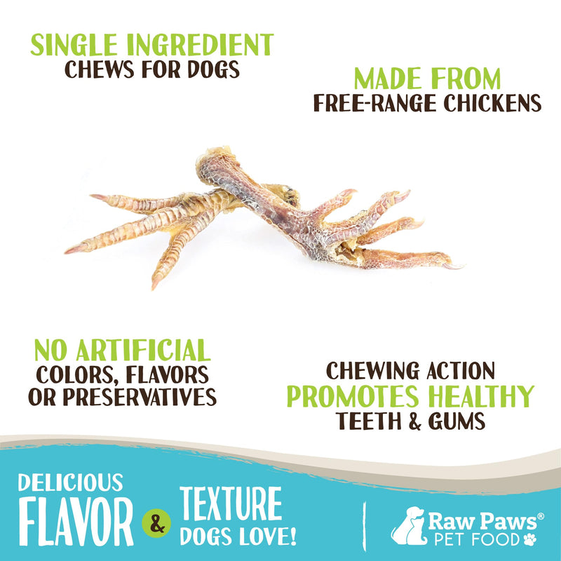 Raw Paws Dried Chicken Feet Dog Treats (10 Count) - Packed in USA - Dehydrated Chicken Feet for Dogs - Natural, Single Ingredient Chews 1 Count (Pack of 10) - PawsPlanet Australia
