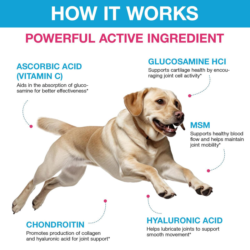 Pain Relief for Dogs, Hip & Joint Glucosamine Drops for Dogs, Chondroitin Drops for Dogs, Natural Formula with Essential Nutrients for Active & Aging Dog, 60ml - PawsPlanet Australia