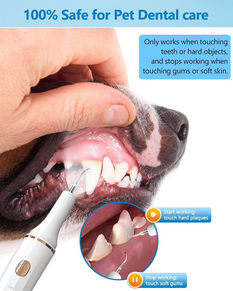Hansaplast Plaque Remover for Teeth, Dog Teeth Cleaning, Dental Tools to Remove Tartar and Stains, Safe for Dogs & Cats, with Led Light & 5 Adjustable Modes (A-White) (A-White) A-White - PawsPlanet Australia