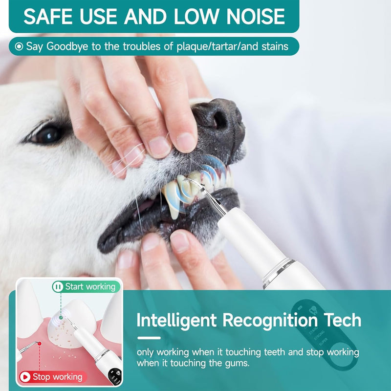 Dog Teeth Cleaning Kit Dog Plaque and Tartar Remover with LED Light 5 Adjustable Modes Electric Toothbrush Pet Teeth Cleaner for Dogs and Cats (Off-White) Off-white