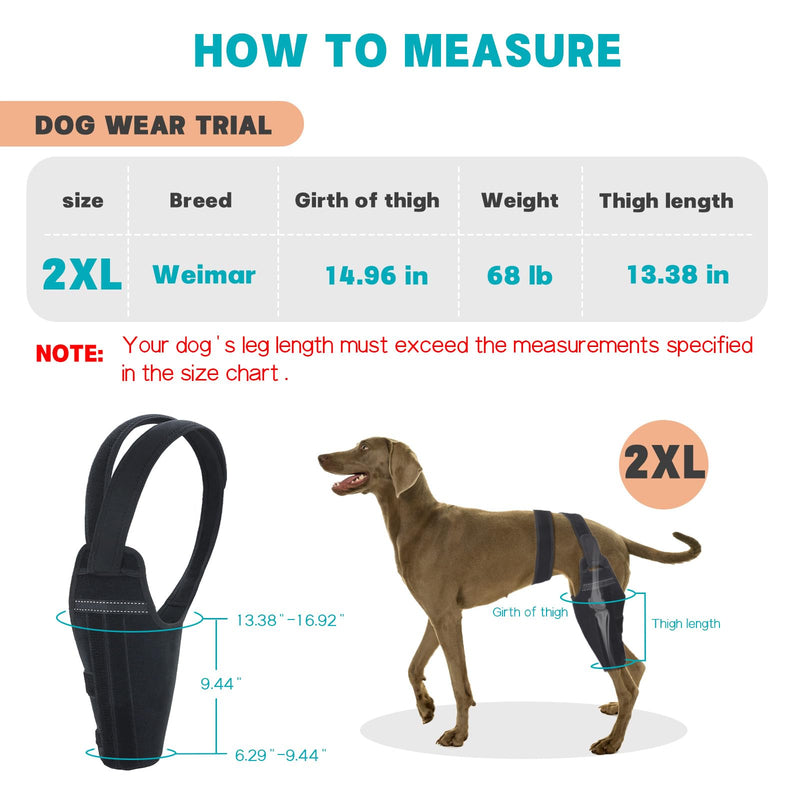Dog Knee Brace for Torn ACL Hind Leg–Adjustable Support Dog Leg Brace for Back Leg with 2 Stabilizers, Hip Support to Reduces Pain Luxating Patella , Ligament Injuries, CCL (Black, Right Leg, 2XL)