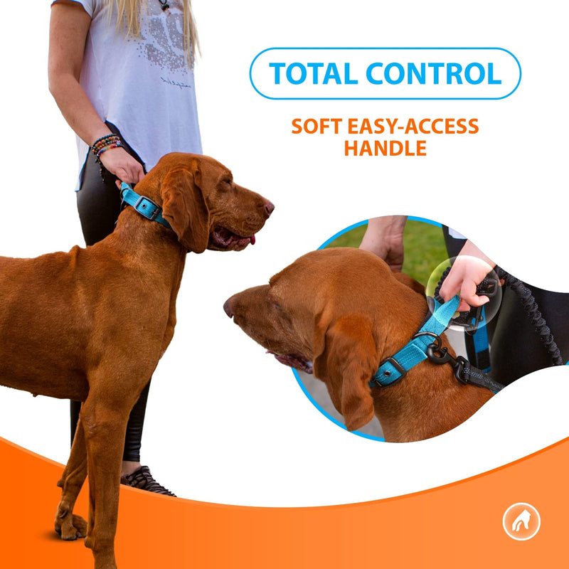 SparklyPets Heavy Duty Dog Collar with Handle for Medium and Large Dogs – Professional Collar with Reflective Stitches, Soft Handle & Nickel-Plated Buckle (Large (18"~22"), Blue) Large (18"~22") - PawsPlanet Australia