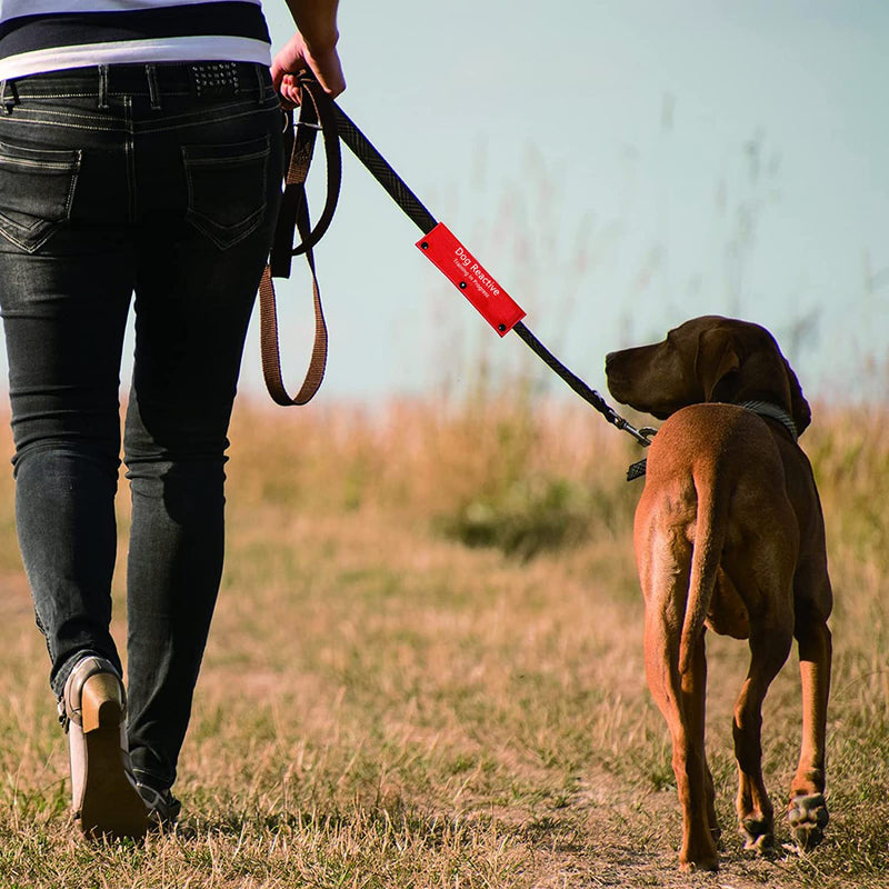 Funny Service Dog Leash Sleeve Dog Reactive Training in Progress Dog Leash Wrap with Alert Hanging ID Patch Reactive Training-Sleeve - PawsPlanet Australia